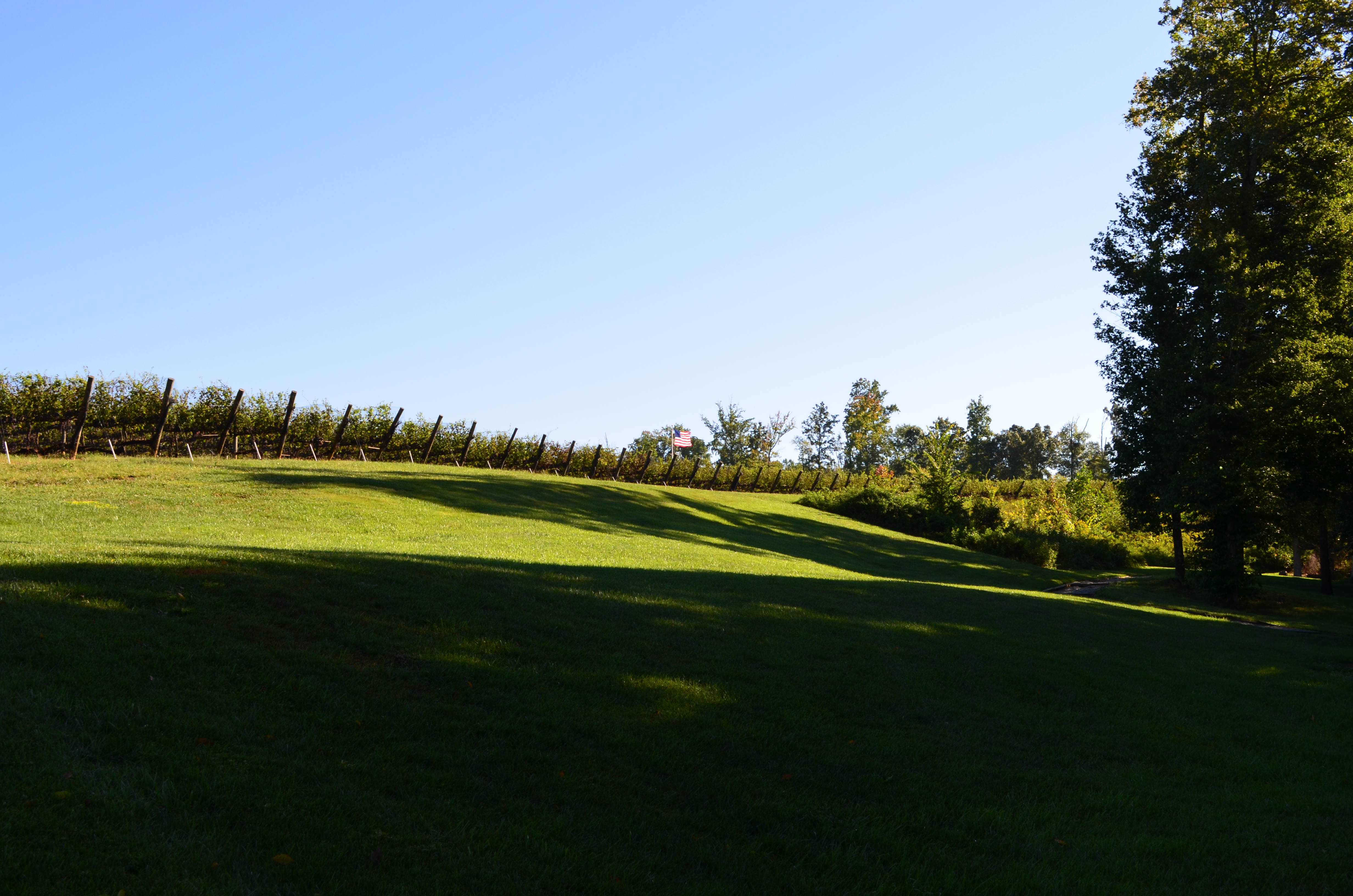 ./2013/Lexington NC/DSC_2946.JPG